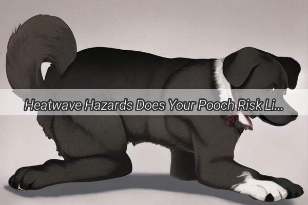 Heatwave Hazards Does Your Pooch Risk Liver and Kidney Damage from Heatstroke